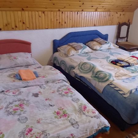 Apartment Helena Zabljak  Bagian luar foto
